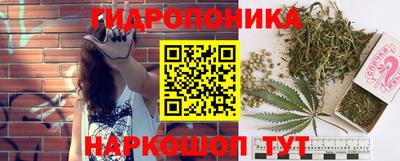 скорость Рязань