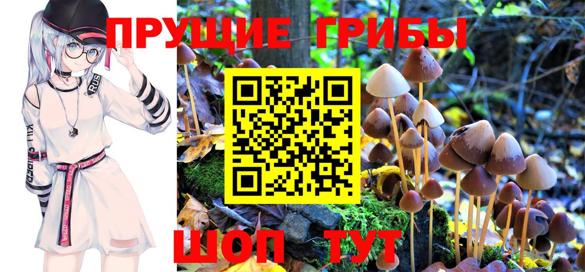 Галлюциногенные грибы Psilocybine cubensis  Псилоцибиновые грибы GOLDEN TEACHER  Вход с VPN  Рыбинск 